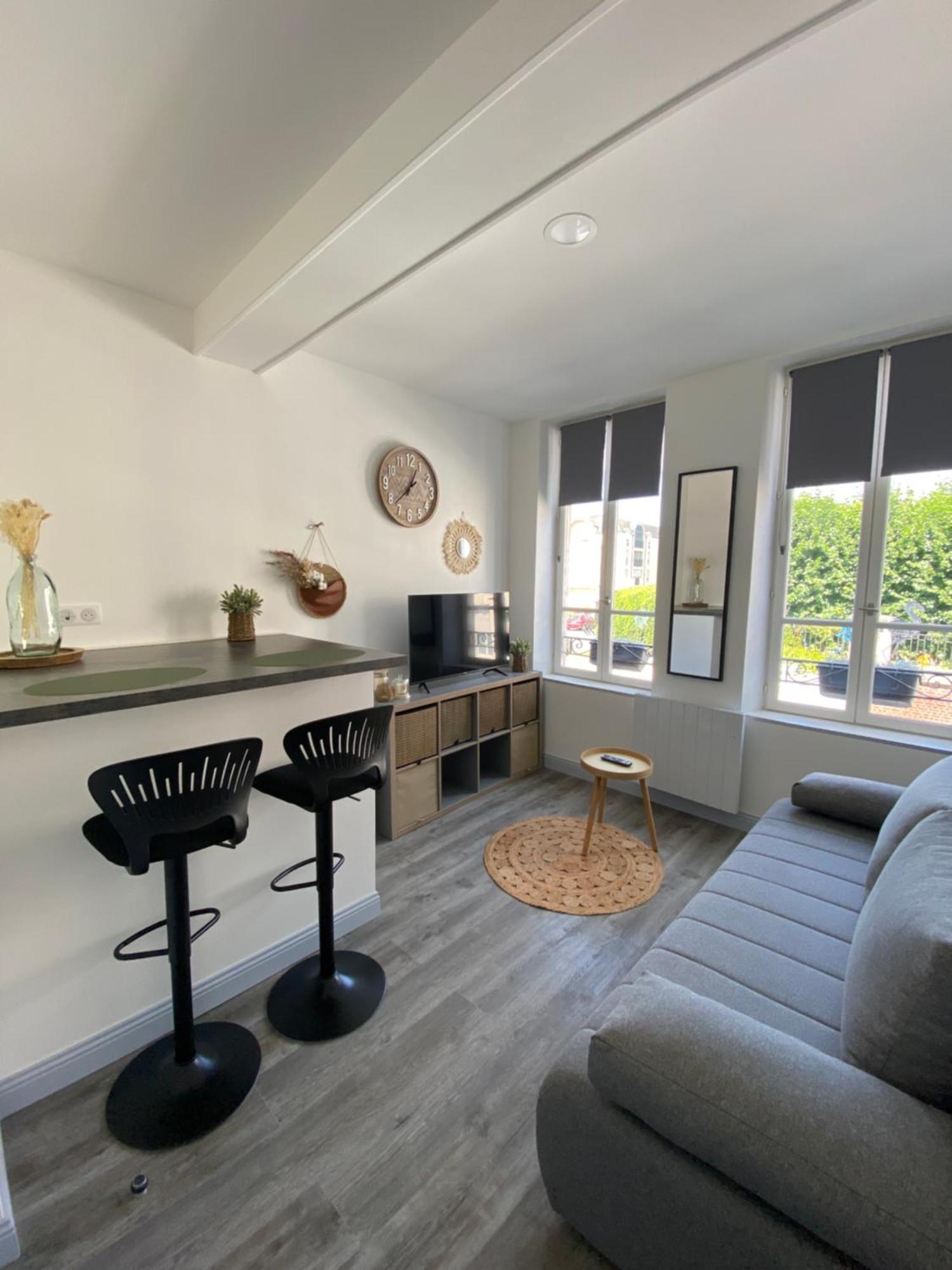 L'emile Zola Appartement *